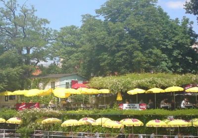Terrasse direkt am Wasser der Alten Donau